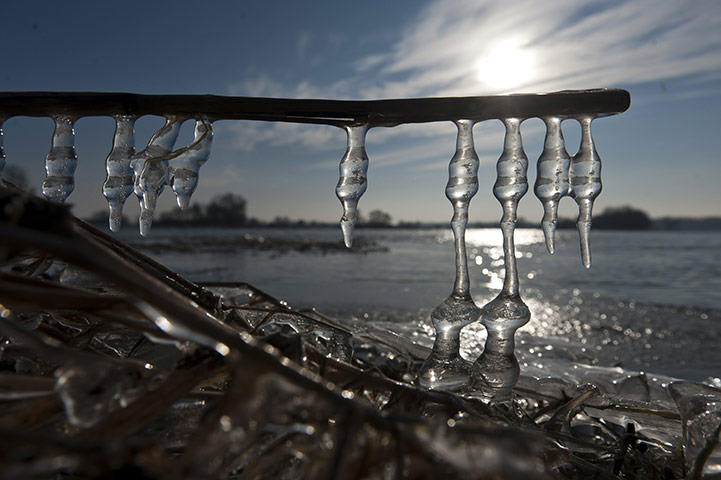 Cold snap continues: Icicles hang by the river Elbe near Woerlitz, eastern Germany