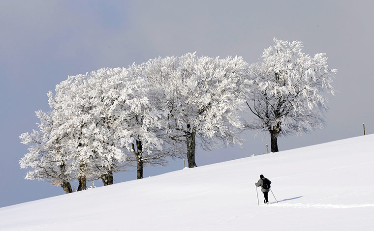 Cold snap continues: A cross country skier near Freiburg, southwestern Germany