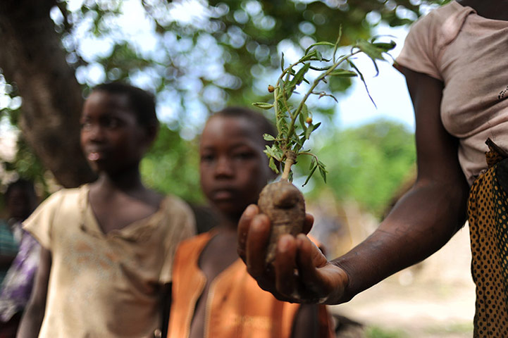 Monitoring malnutrition : Save the Children in Mozambique