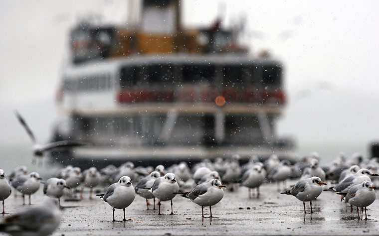 24 hours in pictures: Seagulls stand on a frozen part of the Bosphorus 