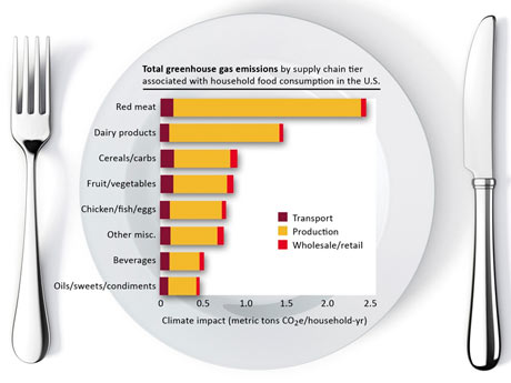 Meat Production Graph