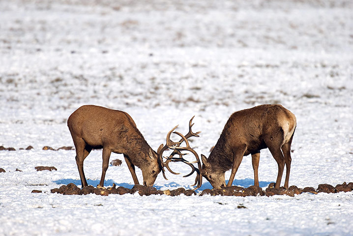 Ice Weather: Winter weather - Feb 11th
