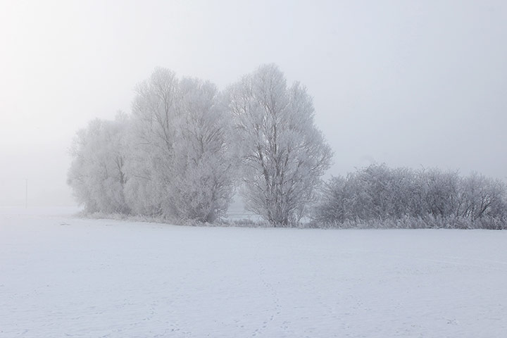 UK weather: Enthusiasts Attempt To Skate On The Frozen Fens