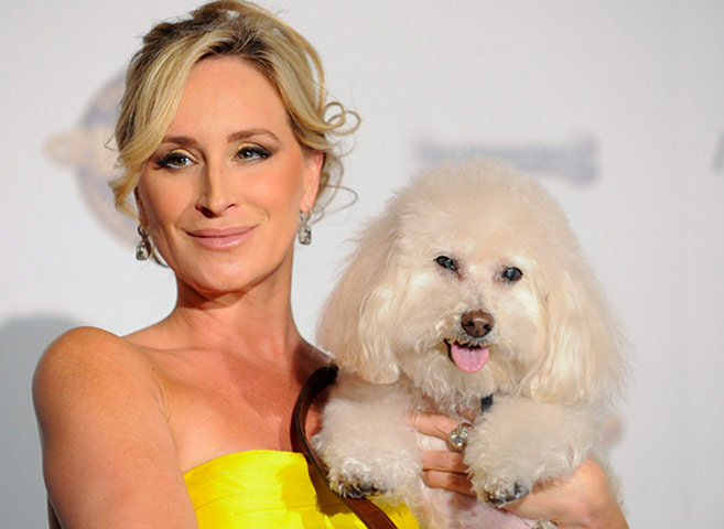 Golden Collar awards: 