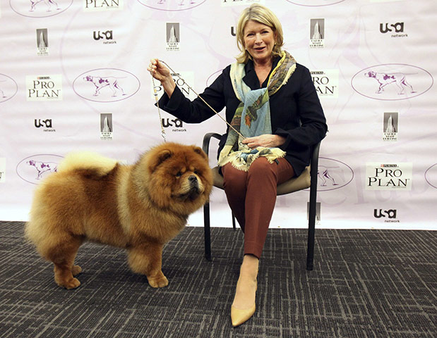 Westminster dog show: Martha Stewart sits her with her dog GK 