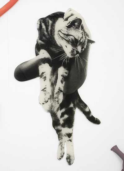 Exhibitionist 18/02: Laura Aldridge