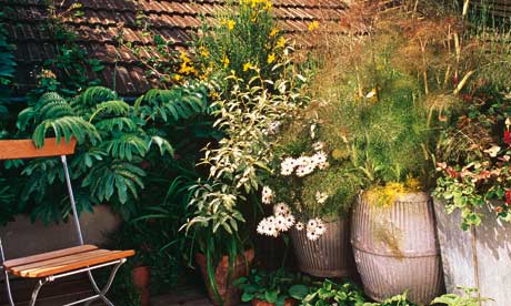 garden ideas uk