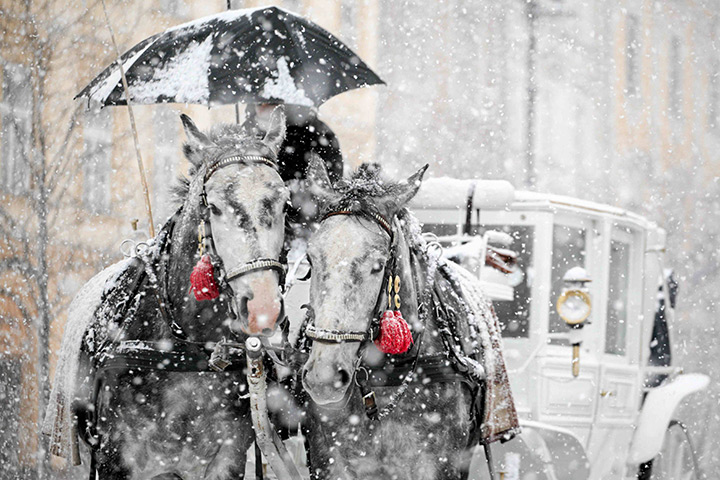 24 hours: Krakow, Poland: A horse drawn carriage rides through heavy snowfall