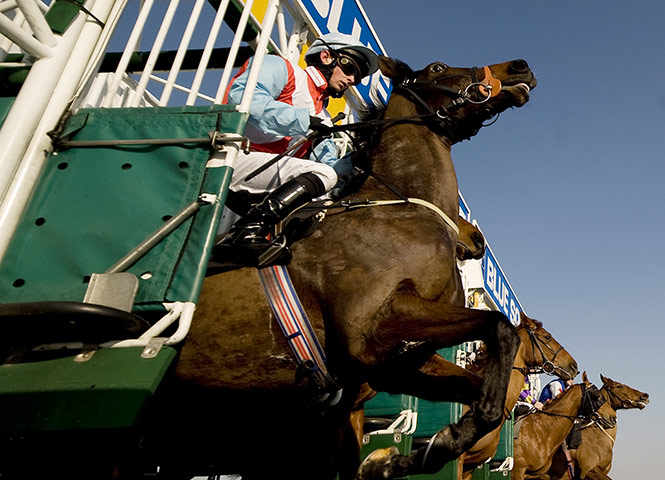 Best of the week: Runners leave the stalls at Lingfield racecourse 