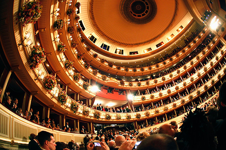 Vienna Opera Ball: The Vienna State Opera House