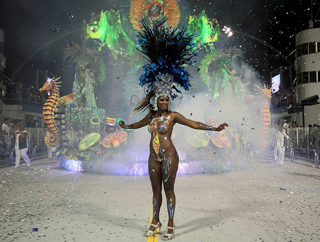 Carnival: A reveller of Rosas de Ouro