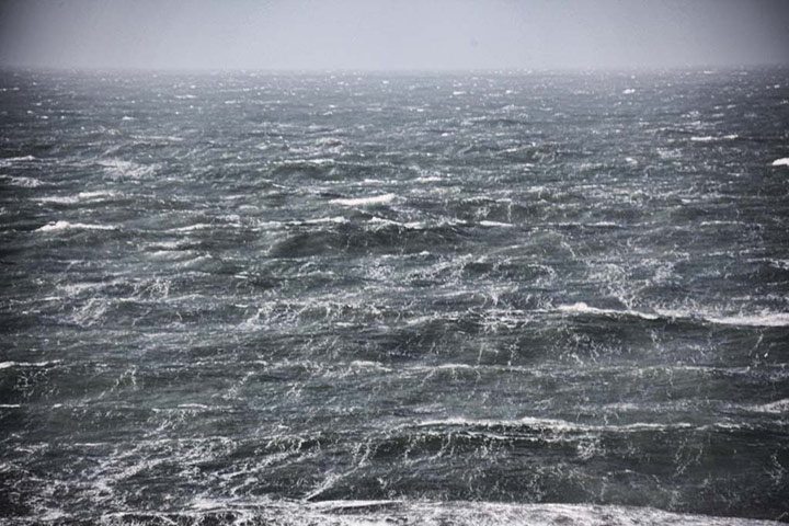 Green shoots : January 2012 : Sign of Winter