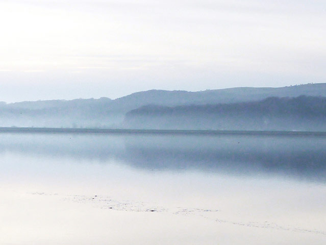 Green shoots : January 2012 : Sign of Winter