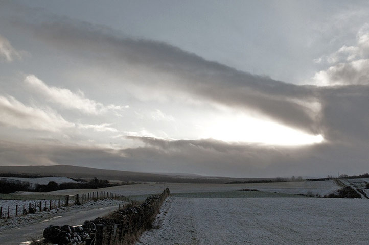 Green shoots : January 2012 : Sign of Winter