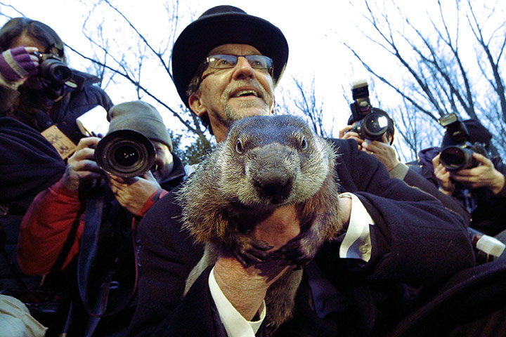 Groundhog day: Groundhog Club handler Ron Ploucha holds Punxsutawney Phil