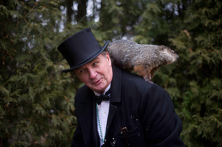 Groundhog day: Groundhog handler John Griffiths holds Punxsutawney Phil