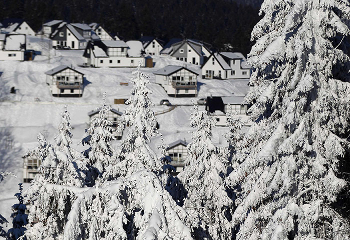 Europe weather: Snow covered trees in Winterberg, Germany