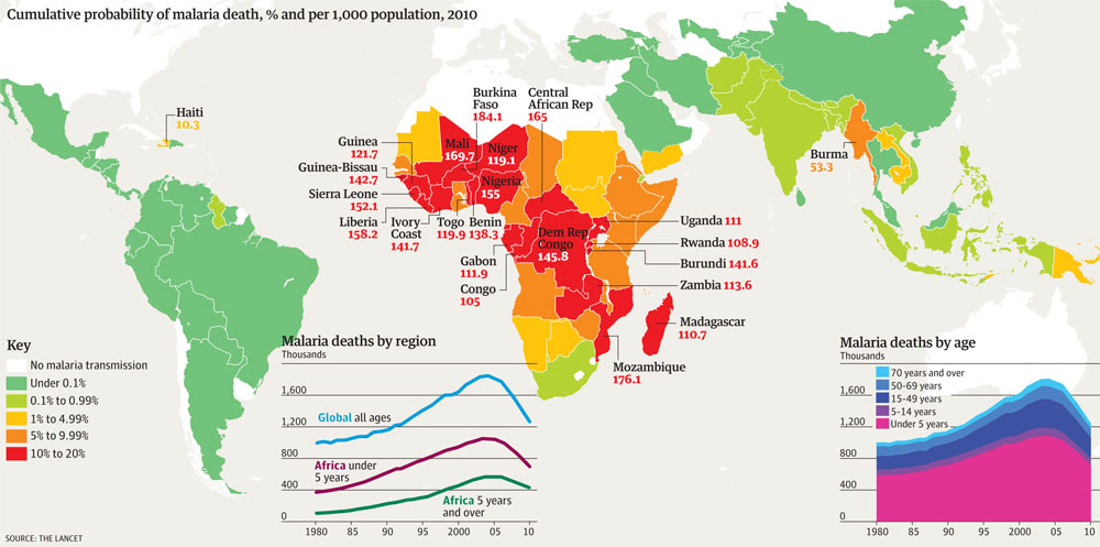 Malaria graphic