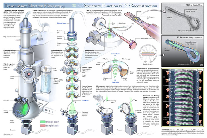 Science: 2011 Science/NSF International Science & Engineering Visual Challenge