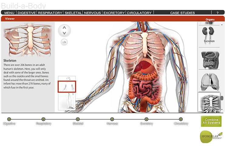 Science: 2011 Science/NSF International Science & Engineering Visual Challenge