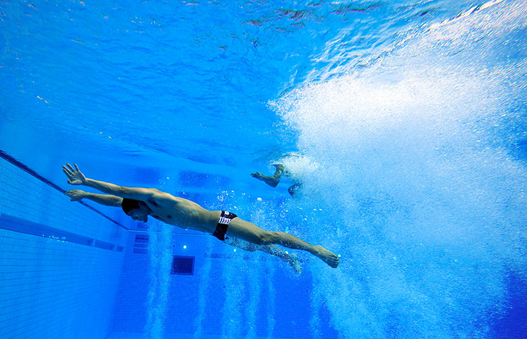 FINA Diving World Cup: FINA Diving World Cup 3m Springboard  Yu Okamoto and Sho Sakai