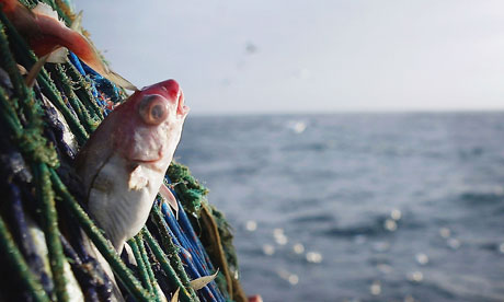 Scottish trawlermen