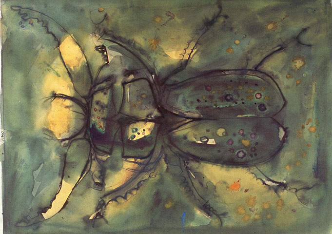 Percy Kelley: stag beetle