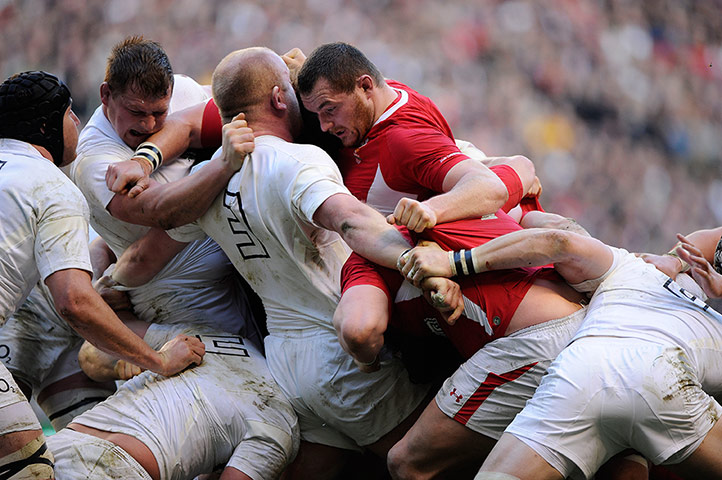 rugby union: England v Wales