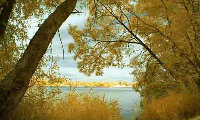 Thomas Ruff: jpeg la01, 2007