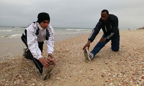 Palestinian runner uses Gaza marathon to prepare for London 2012 Olympics