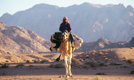 Bedouins In Egypt