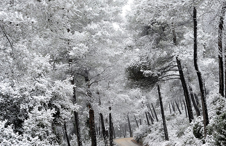 Week in wildlife: A general view of the snow in Rubi, Spain