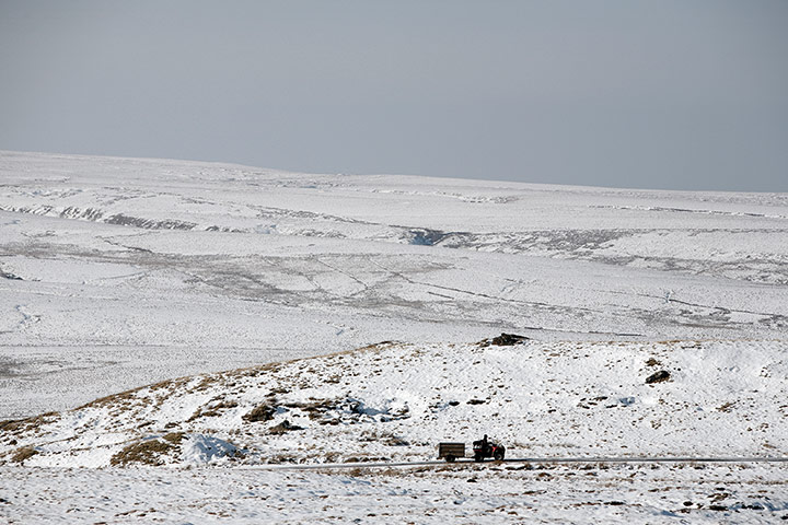 Tan Hill Inn: Shepherd