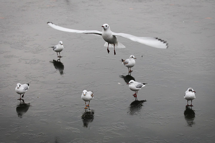 Severe weather in Europe: Severe weather