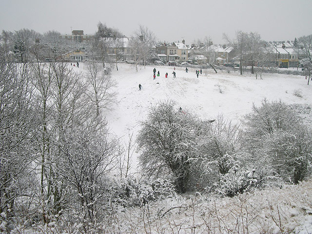 Readers snow pictures: Plumstead Common in London today