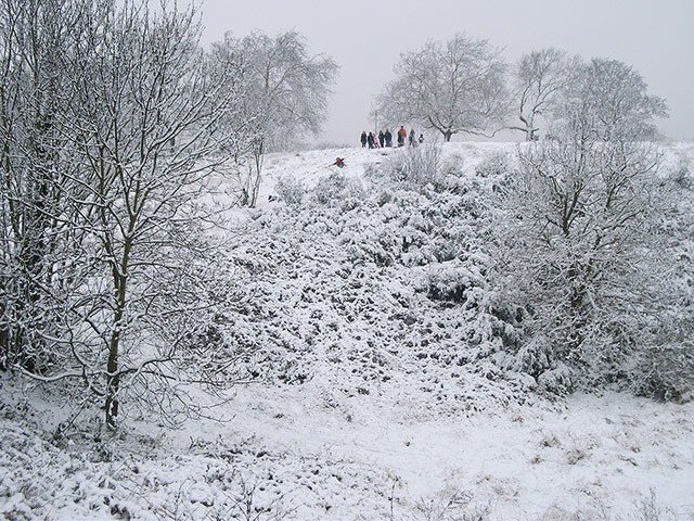 Readers snow pictures: Plumstead Common in London