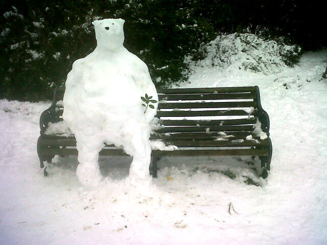 Readers snow pictures: Snowpolarbear in Vicky Park. Whoever made this: I love you