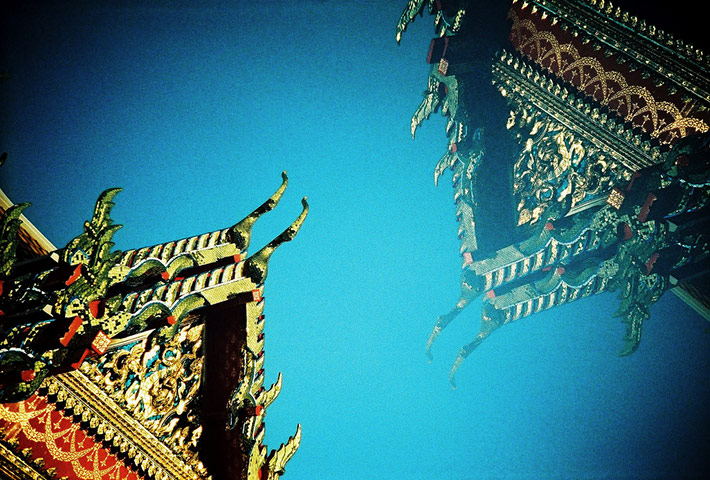 Guardian Camera Club: A review of Lisa Garner's portfolio