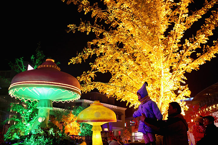 Chinese lantern festival: Chinese lantern festival