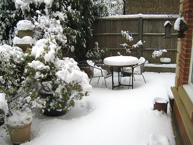 Reader's snow pictures: 'Snow Cake'