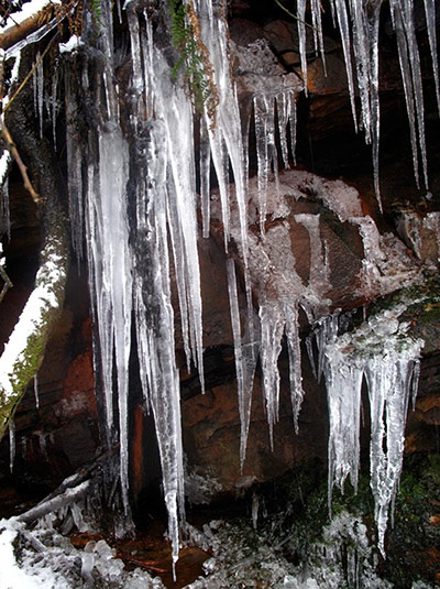 Reader's snow pictures: 'Icicles'