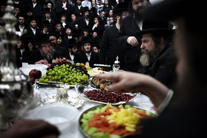 24 hours in pictures: Ultra Orthodox Jews celebrate the feast of Tu-Bishvat 