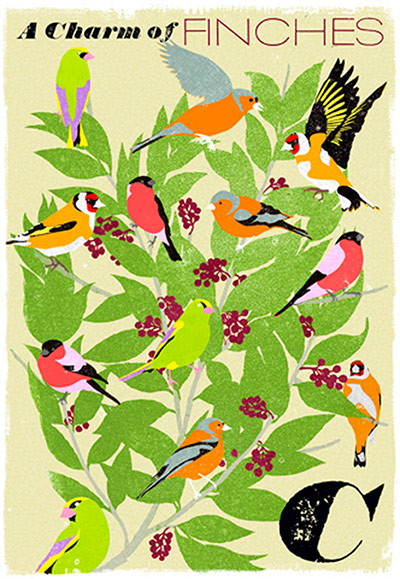 spring brights: Woop studios charm of finches poster: spring brights