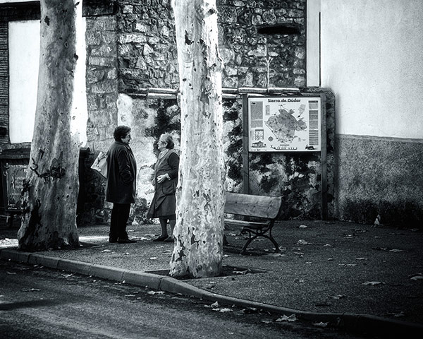 Guardian Camera Club: A review of Ciaran Twomey's portfolio