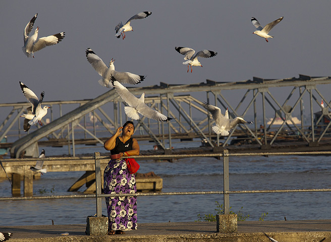 24 hours in pictures: Yangon, Myanmar: A woman feeds the seagulls along the Yangon river