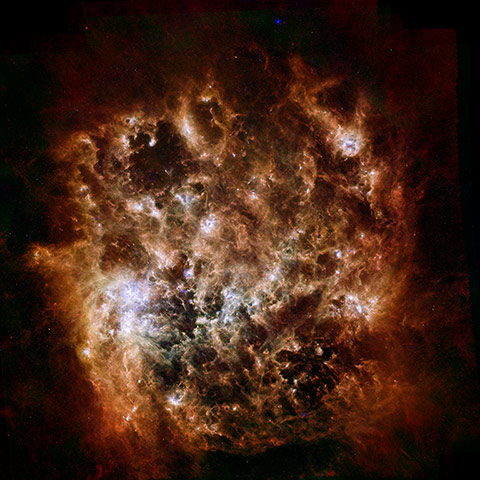 Month in space: Large Magellanic Cloud galaxy in infrared light