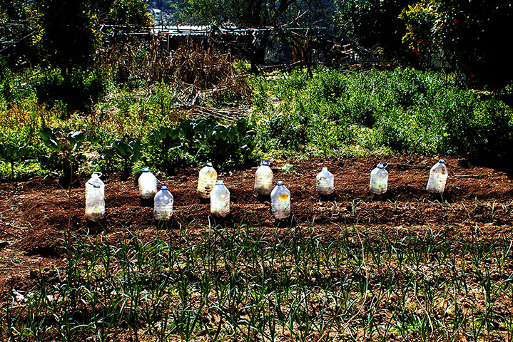 Found objects: bottles