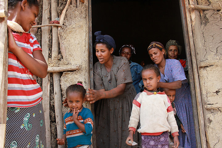 Ethiopia: New seed varieties boost chickpea harvests in Ethiopia