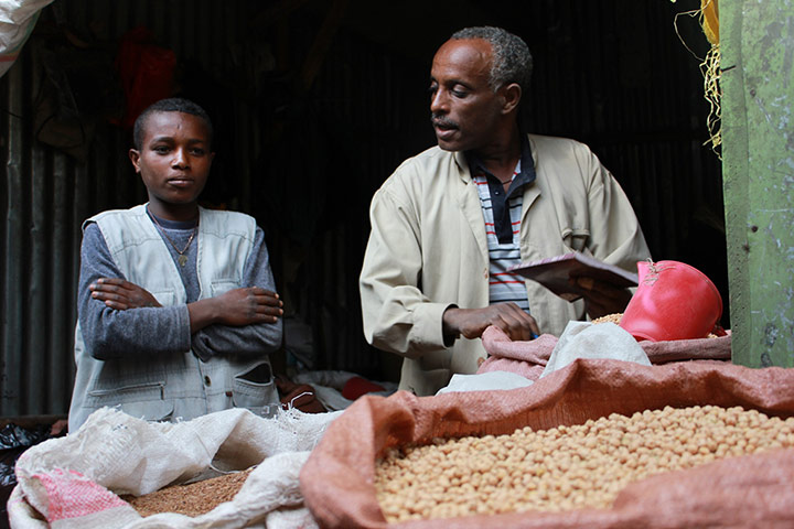 Ethiopia: New seed varieties boost chickpea harvests in Ethiopia