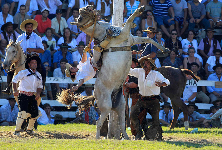 24 hours: Tacuarembo, Uruguay: A gaucho rides an unbroken horse during a festival 